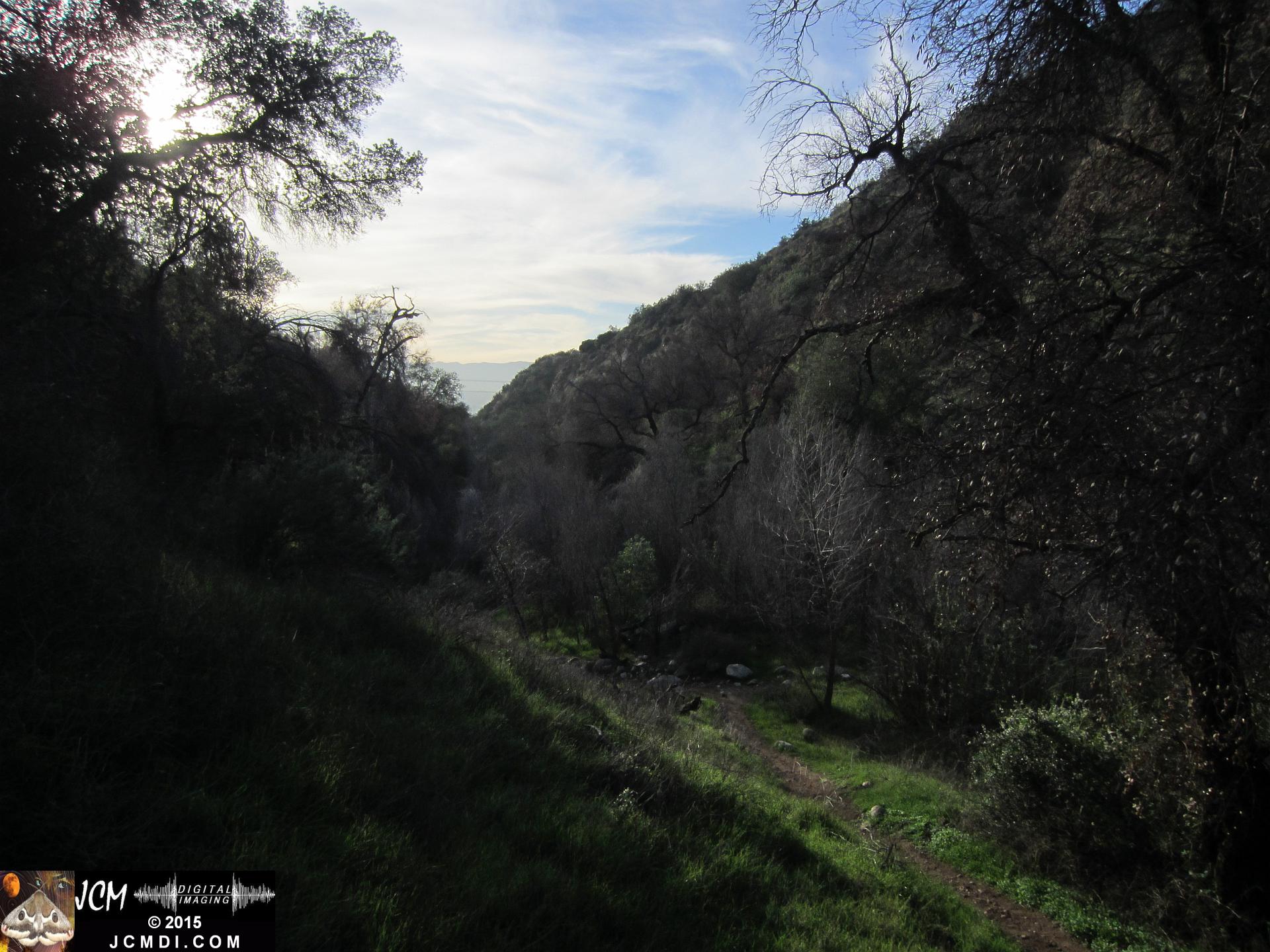 Whitney Canyon downstream view
